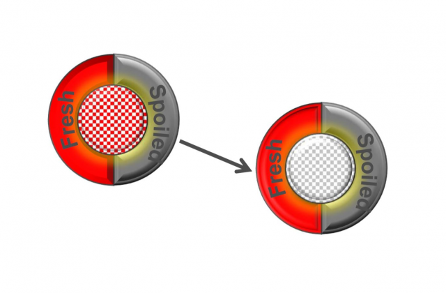 The prototype of the food sensor